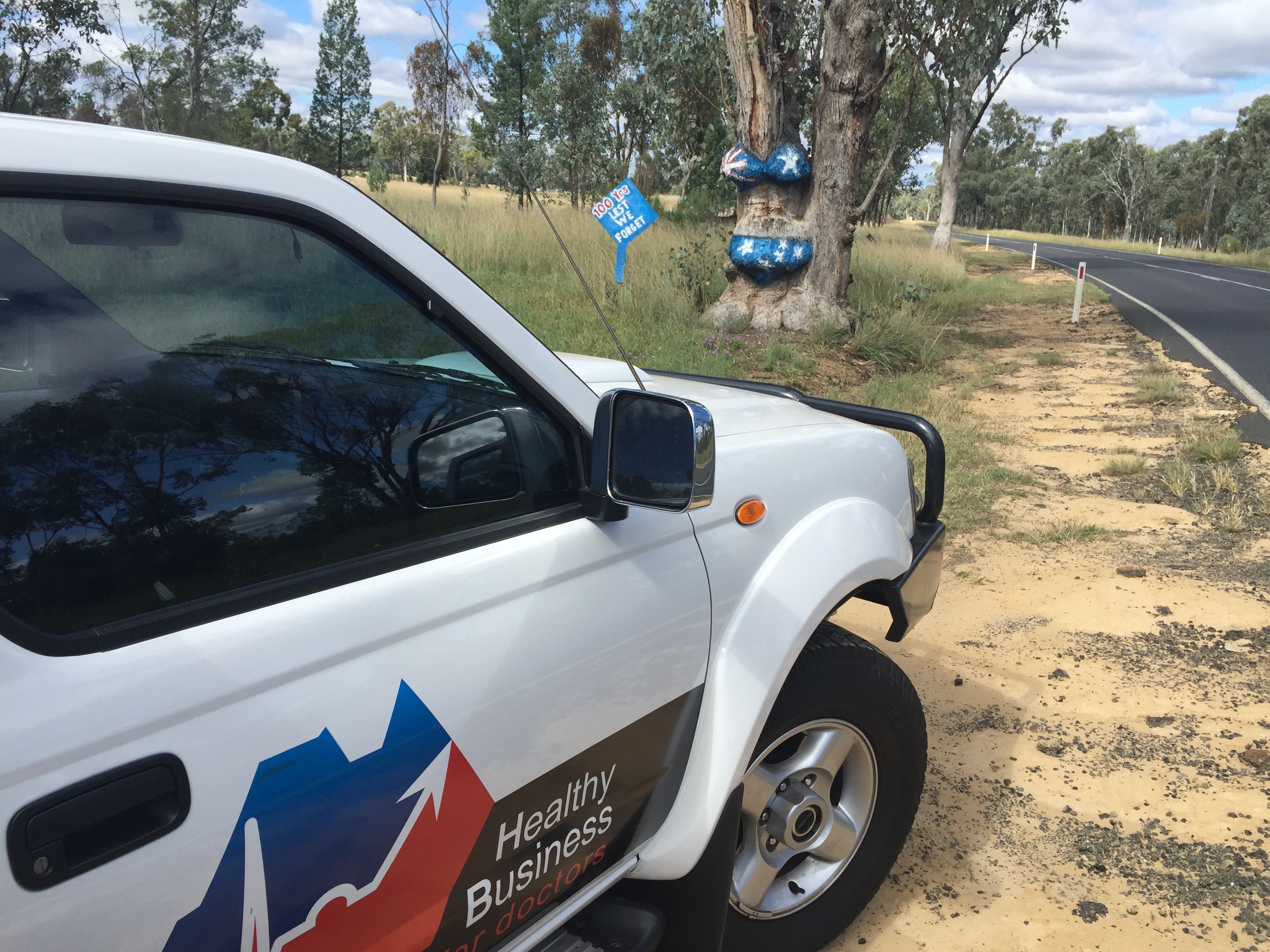 travel Image from Near Warialda "Bikini Tree"